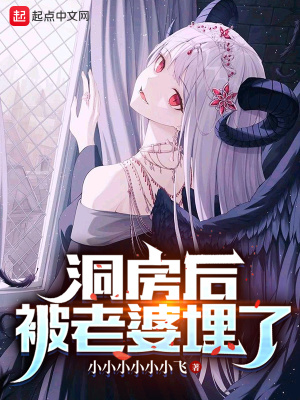 洞房后，被老婆埋了封面图片