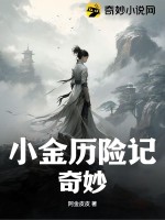 小金历险记奇妙封面图片