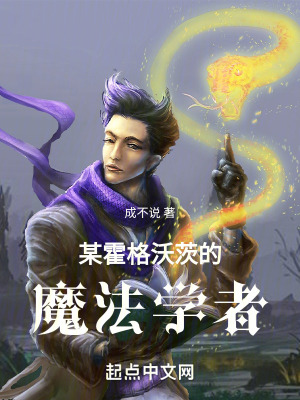 某霍格沃茨的魔法学者封面图片