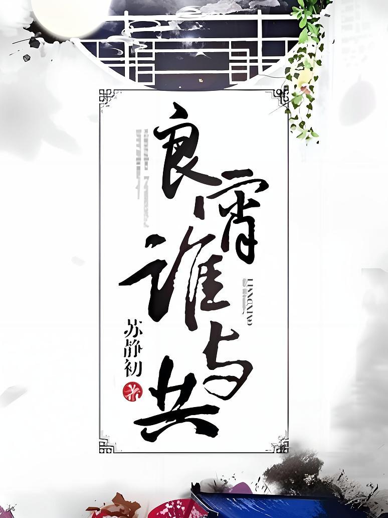 良宵谁与共封面图片
