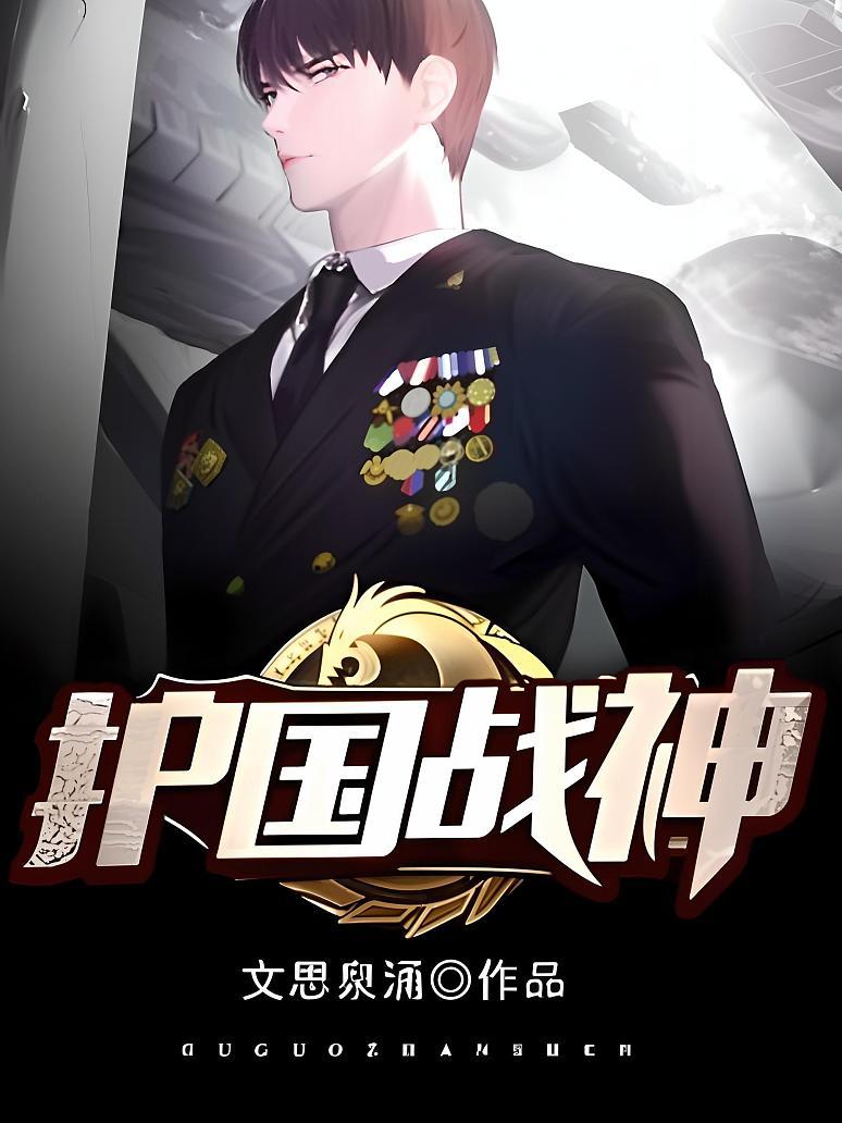 护国战神封面图片