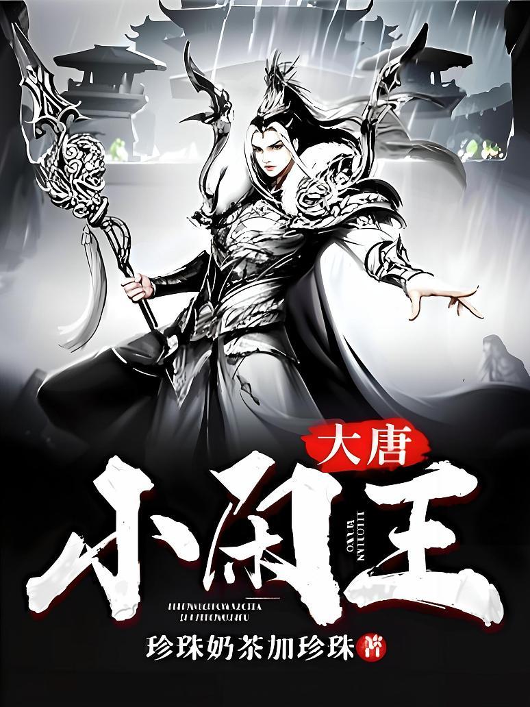 大唐小闲王封面图片