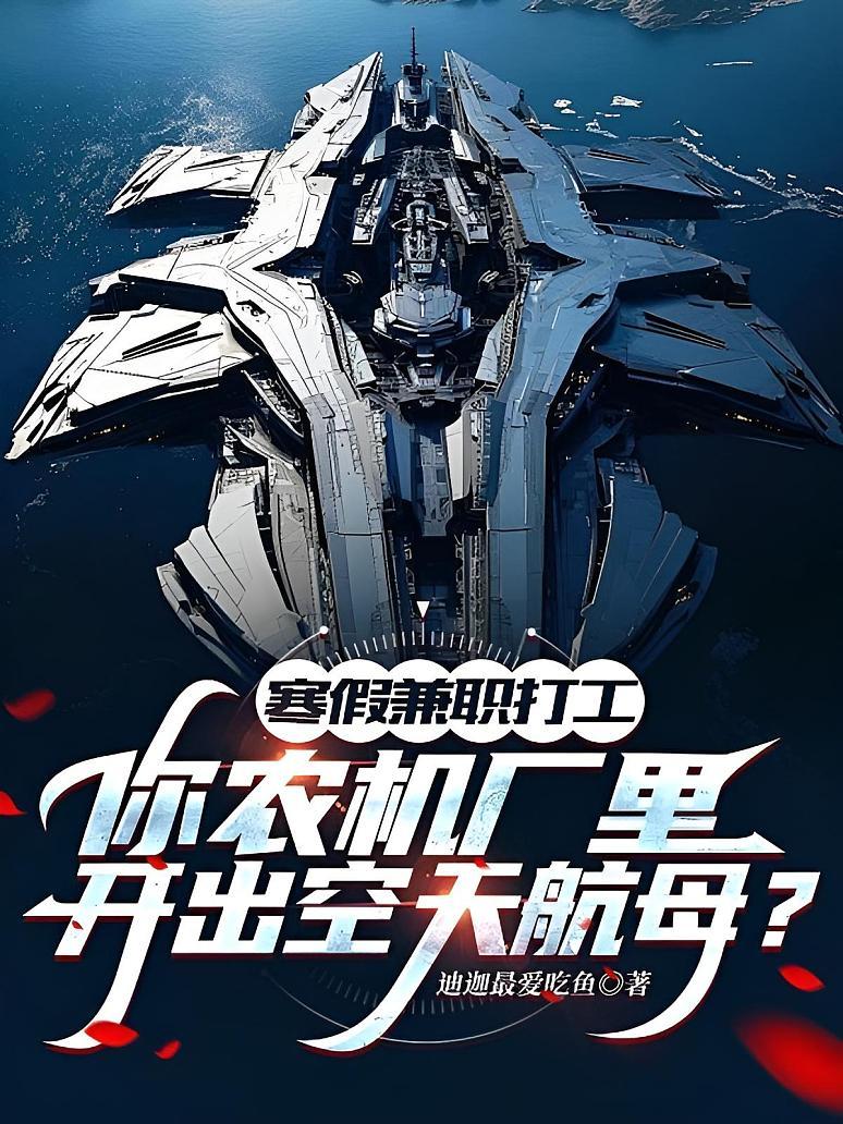 寒假兼职打工，你农机厂里开出空天航母？封面图片