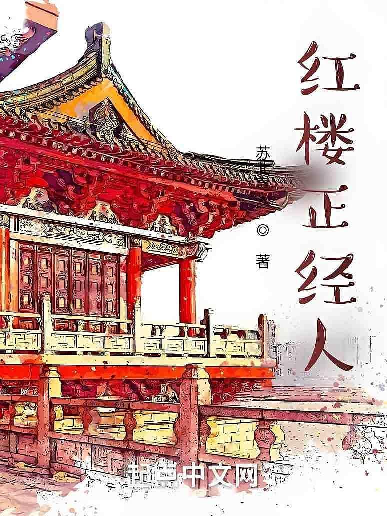 红楼正经人封面图片