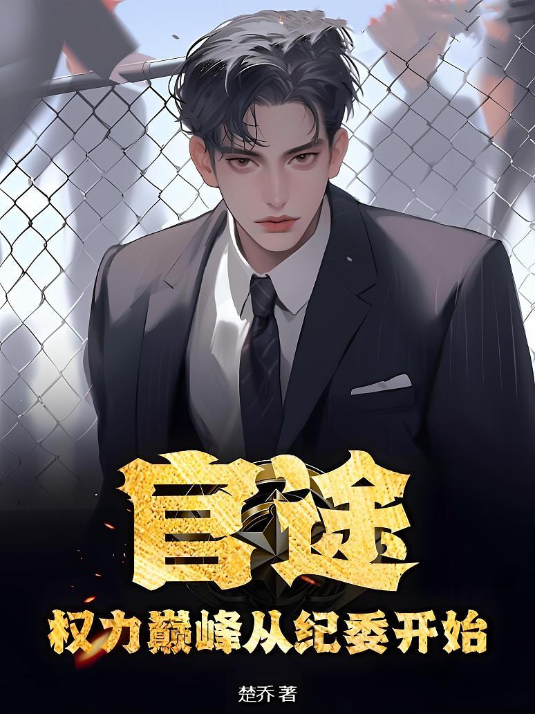 权力巅峰从纪委开始封面图片