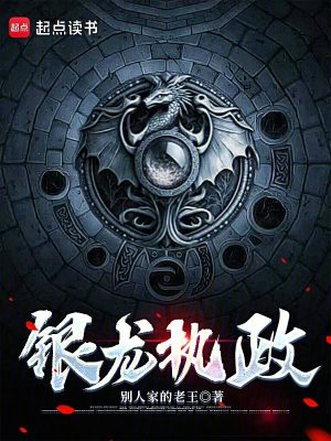 银龙执政封面图片