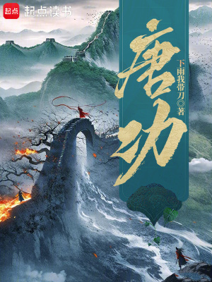 唐功封面图片