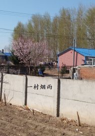 一村烟雨封面图片