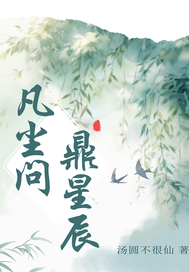 凡尘问鼎星辰封面图片
