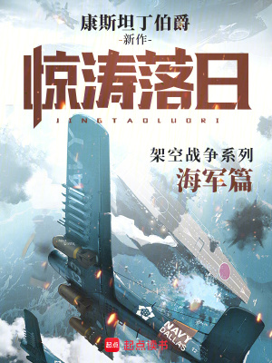 惊涛落日封面图片