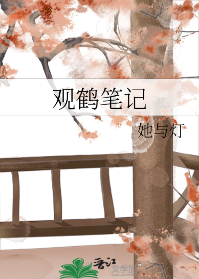 观鹤笔记封面图片