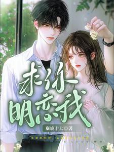 求你明恋我封面图片