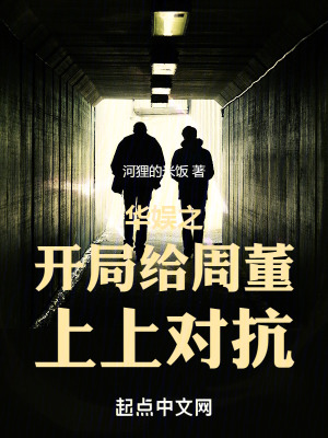 华娱之2000封面图片
