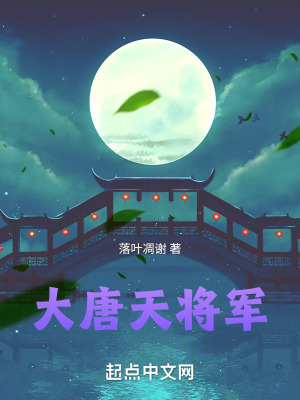 大唐天将军封面图片