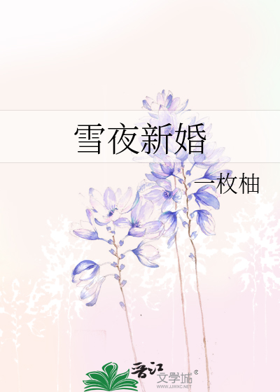 雪夜新婚封面图片