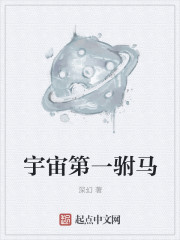 宇宙第一驸马封面图片