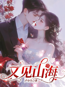 又见山海封面图片