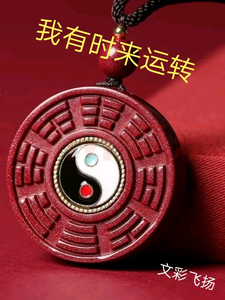 我有时来运转封面图片