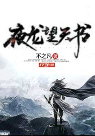 夜龙望天书封面图片