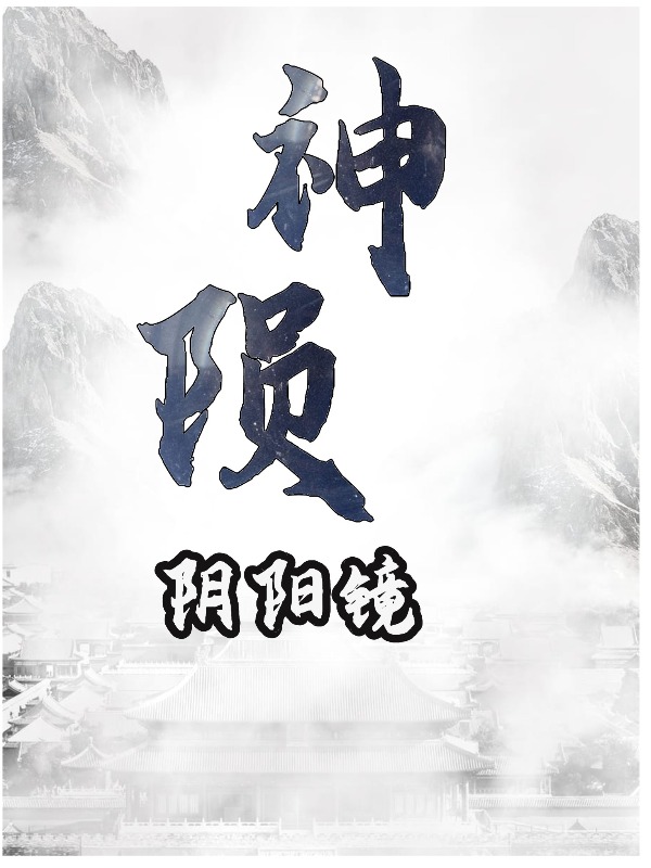 神陨阴阳镜封面图片