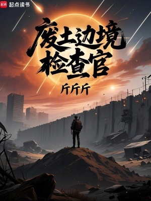 废土边境检查官封面图片