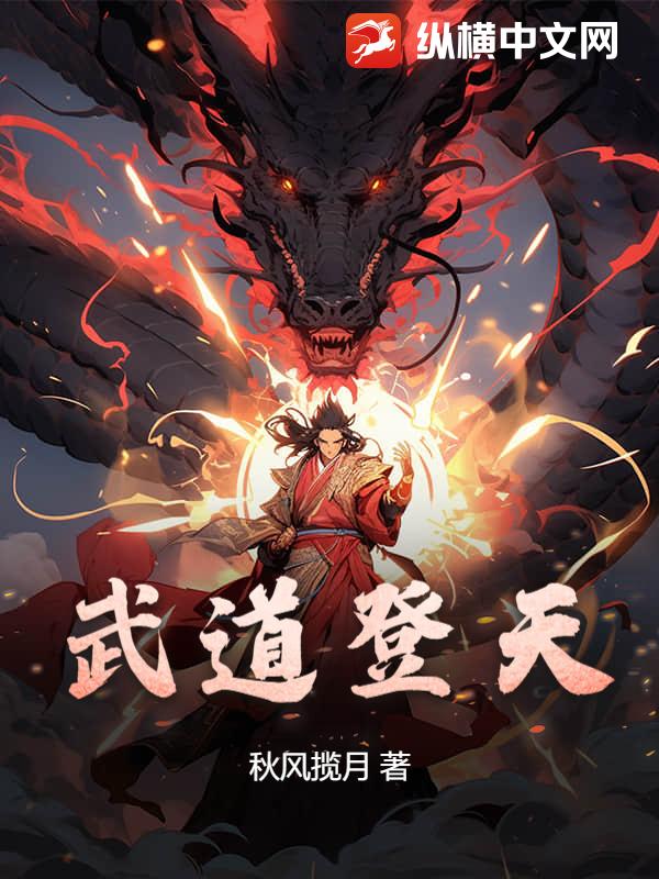 武道登天封面图片