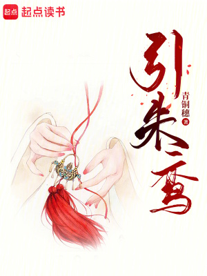 引朱鸾封面图片