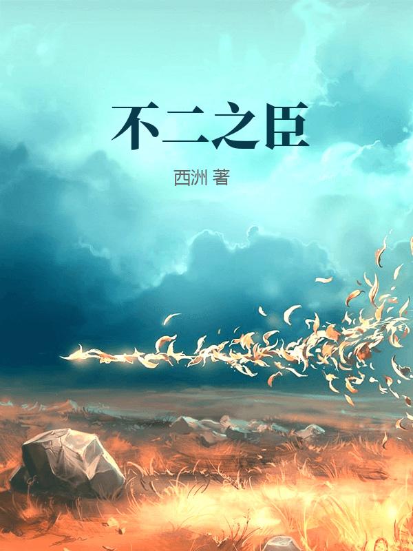 不二之臣封面图片