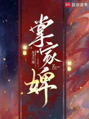 掌家婢封面图片