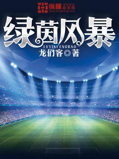 绿茵风暴封面图片