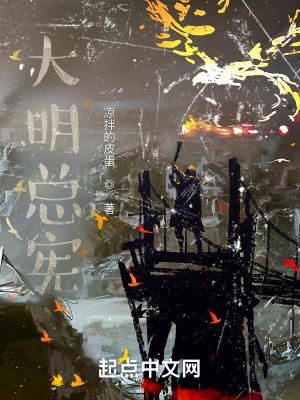大明总宪封面图片