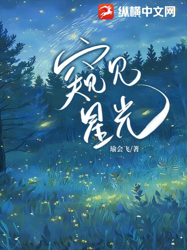窥见星光封面图片