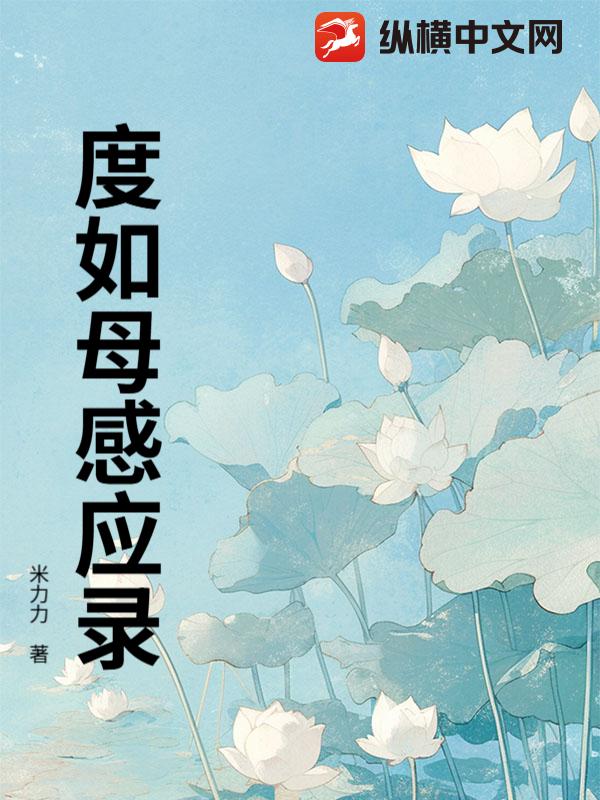 度如母感应录封面图片