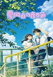 夏风的颜色封面图片