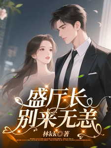 盛厅长别来无恙封面图片