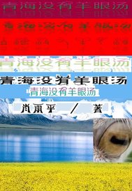 青海没有羊眼汤封面图片