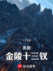 亮剑金陵十三钗封面图片
