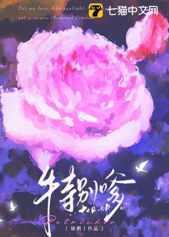 不务正夜封面图片