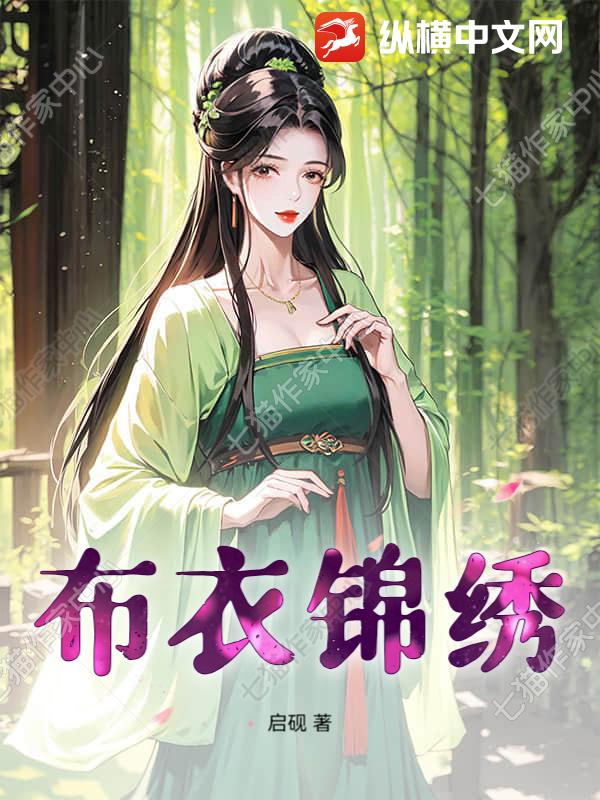 布衣锦绣封面图片