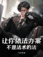 让你依法办案，不是法术的法封面图片