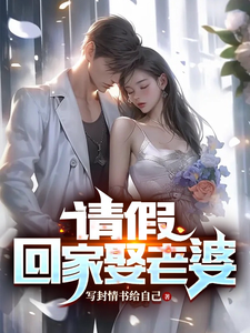 请假，回家娶老婆封面图片