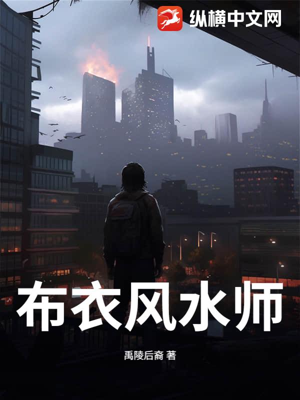 布衣风水师封面图片