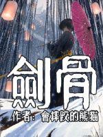 剑骨封面图片
