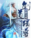 剑道独尊封面图片