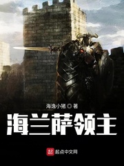 海兰萨领主封面图片