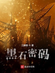 黑石密码封面图片