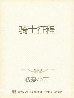 骑士征程封面图片