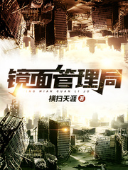 镜面管理局封面图片