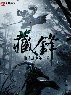藏锋封面图片