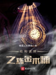 哈利波特之炼金术师封面图片